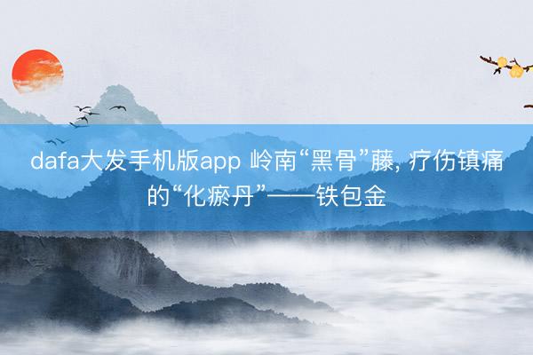 dafa大发手机版app 岭南“黑骨”藤, 疗伤镇痛的“化瘀丹”——铁包金